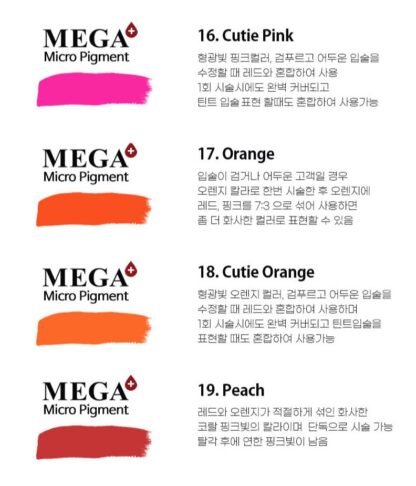 MEGA Semi-Permanent Micro Pigment (for machine) / lip color (1)